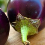 Die Aubergine: Ein Klassiker der Mittelmeerküche